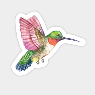 Watercolor Hummingbirds Sticker